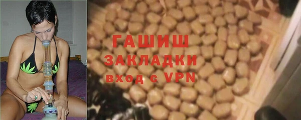 прущие грибы Армянск