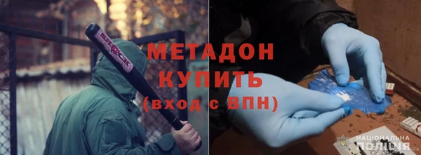 прущие грибы Аркадак