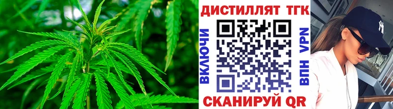 купить  цена  Бакал  Дистиллят ТГК концентрат 
