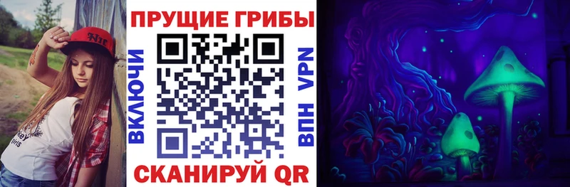 Псилоцибиновые грибы Magic Shrooms  ОМГ ОМГ ССЫЛКА  Бакал 